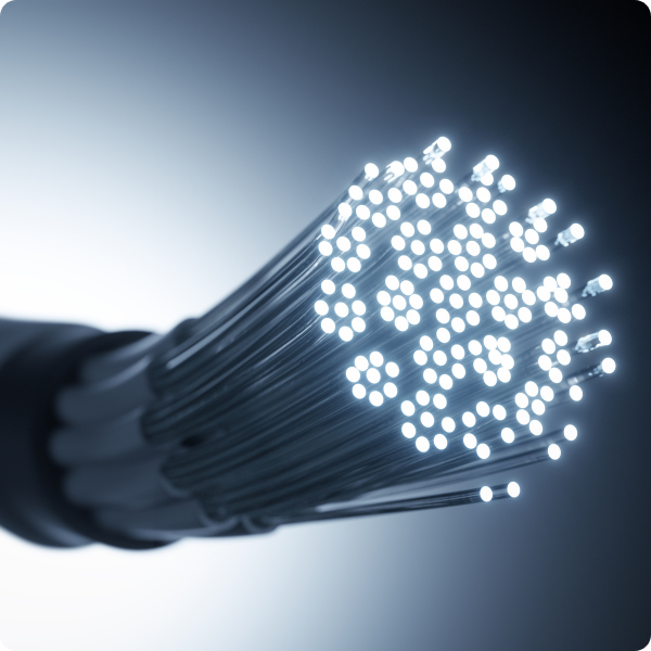 Fiber & Ducts